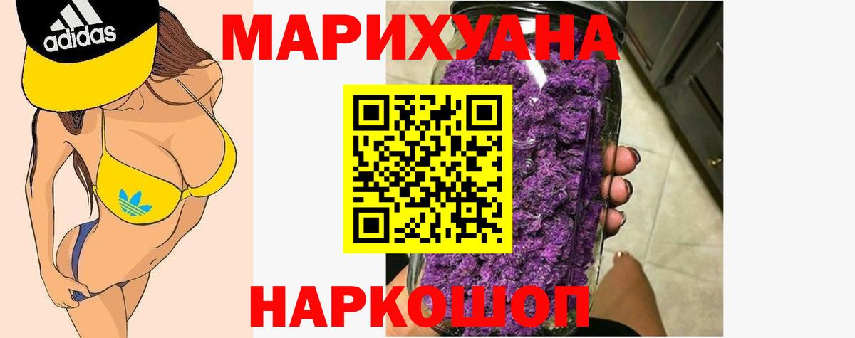 Марихуана план Мыски